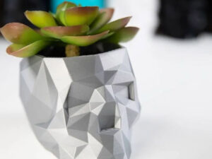 vase of plant