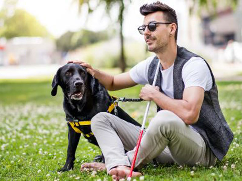 blind man with a black dog caring